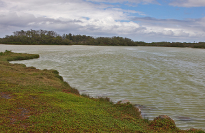 Kanaha Pond and Wildlife Refuge
