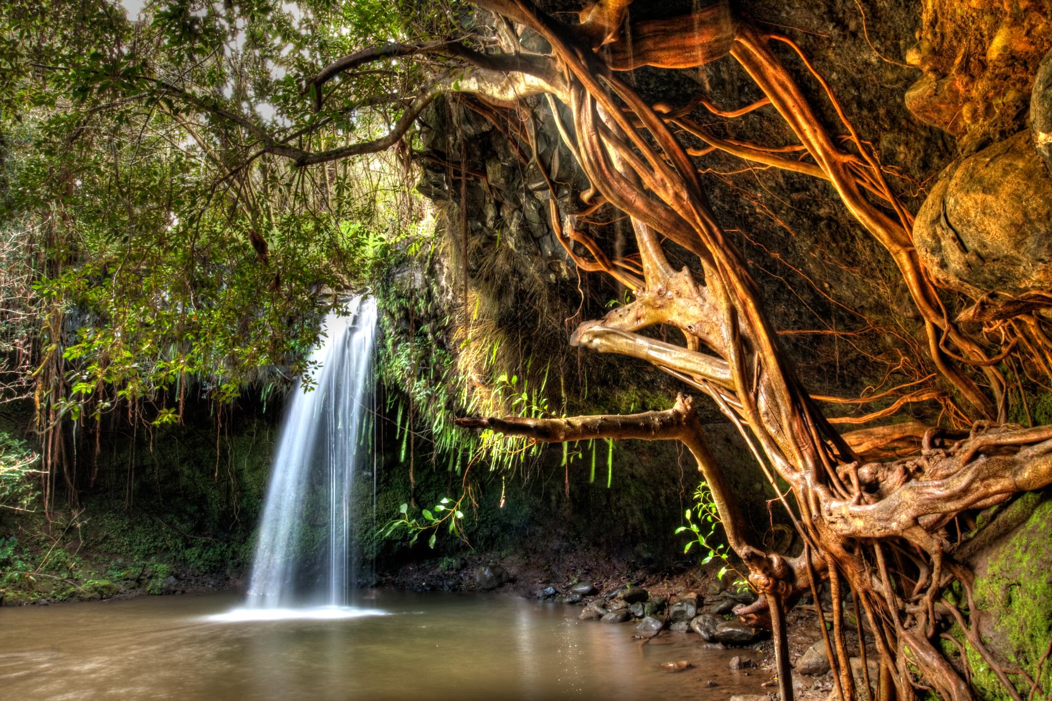 Twin Falls, Maui